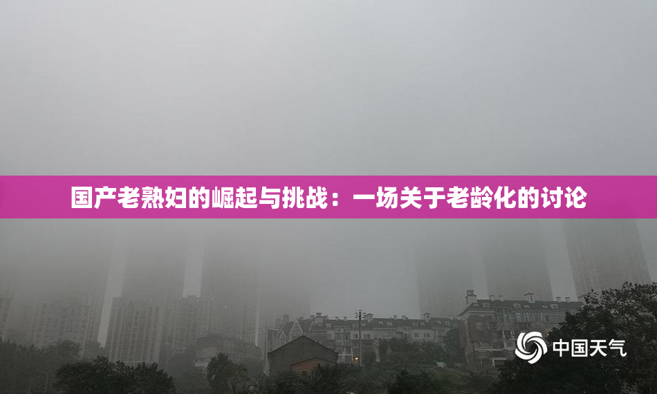 国产老熟妇的崛起与挑战：一场关于老龄化的讨论