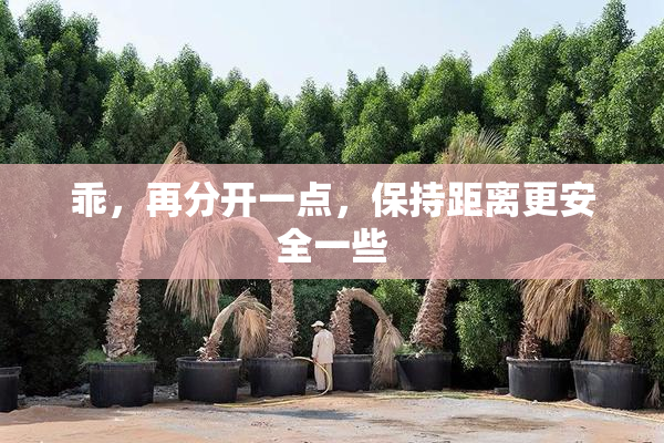 乖，再分开一点，保持距离更安全一些