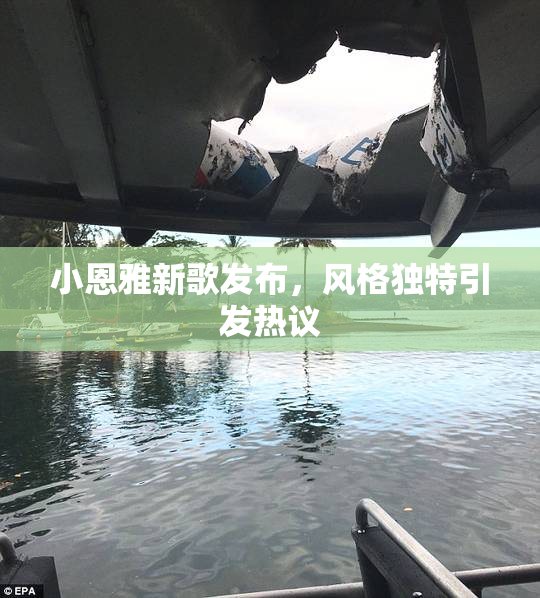 小恩雅新歌发布，风格独特引发热议