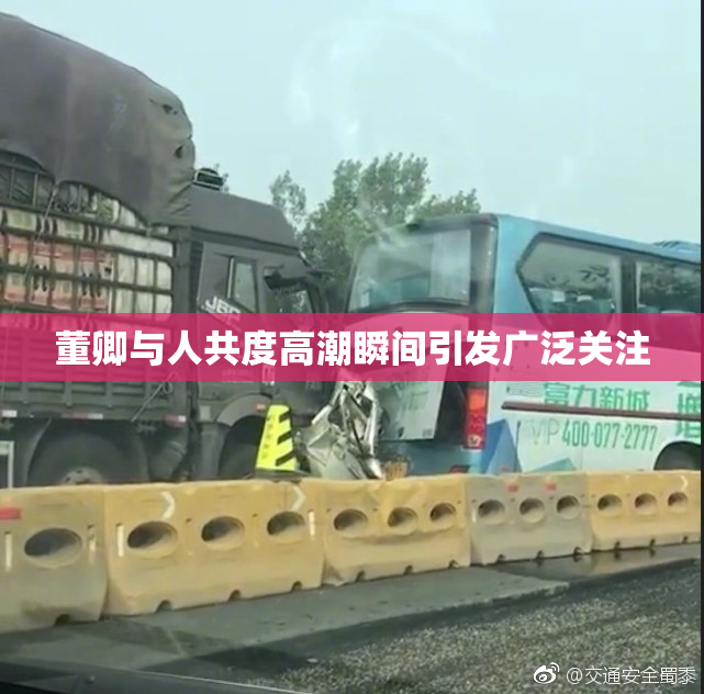董卿与人共度高潮瞬间引发广泛关注