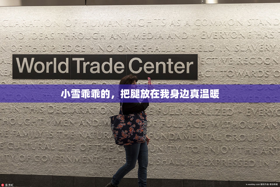 小雪乖乖的，把腿放在我身边真温暖