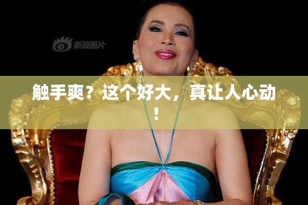 触手爽？这个好大，真让人心动！