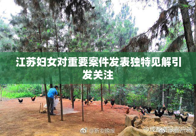 江苏妇女对重要案件发表独特见解引发关注
