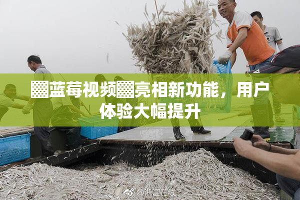 ▓蓝莓视频▓亮相新功能，用户体验大幅提升