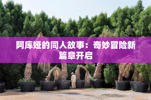 阿库娅的同人故事：奇妙冒险新篇章开启