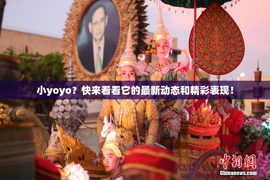 小yoyo？快来看看它的最新动态和精彩表现！
