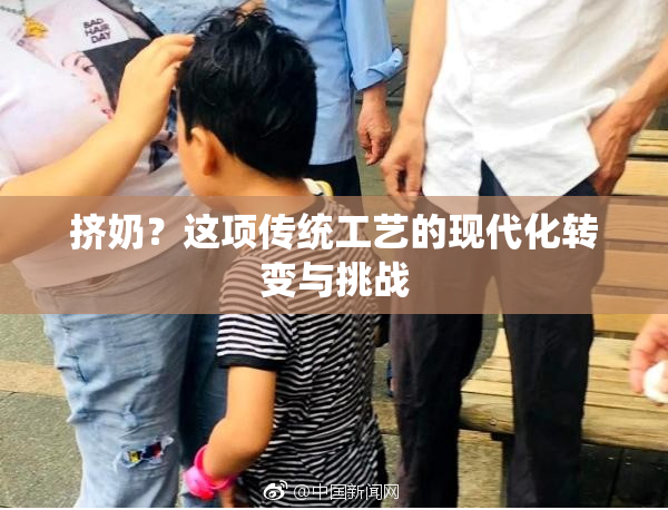 挤奶？这项传统工艺的现代化转变与挑战