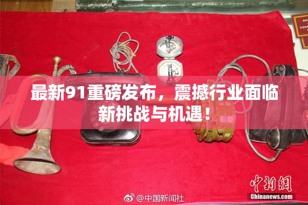 最新91重磅发布，震撼行业面临新挑战与机遇！