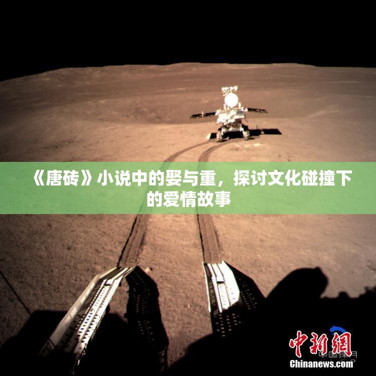 《唐砖》小说中的娶与重，探讨文化碰撞下的爱情故事