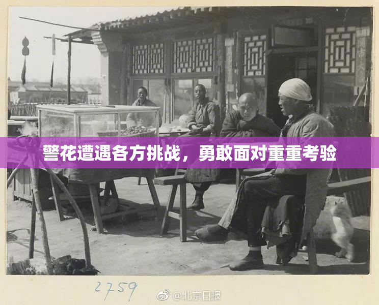 警花遭遇各方挑战，勇敢面对重重考验