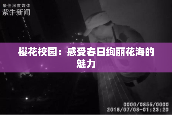 樱花校园：感受春日绚丽花海的魅力