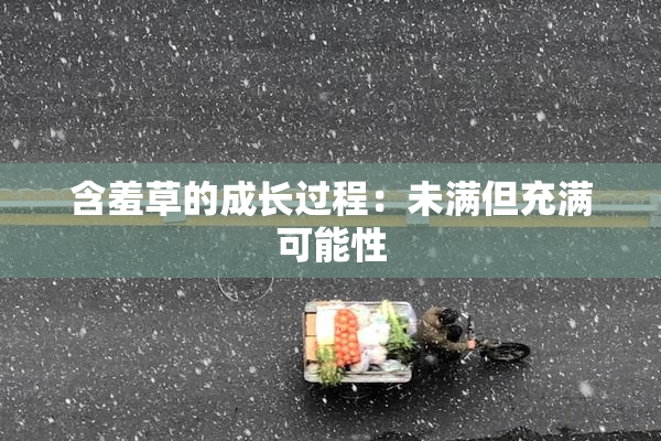 含羞草的成长过程：未满但充满可能性