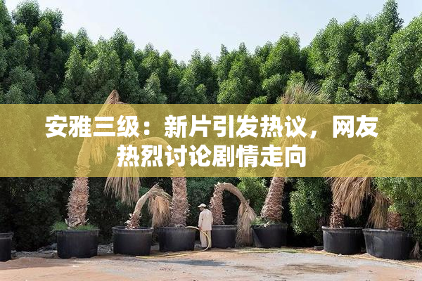 安雅三级：新片引发热议，网友热烈讨论剧情走向