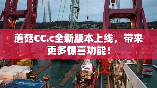 蘑菇CC.c全新版本上线，带来更多惊喜功能！
