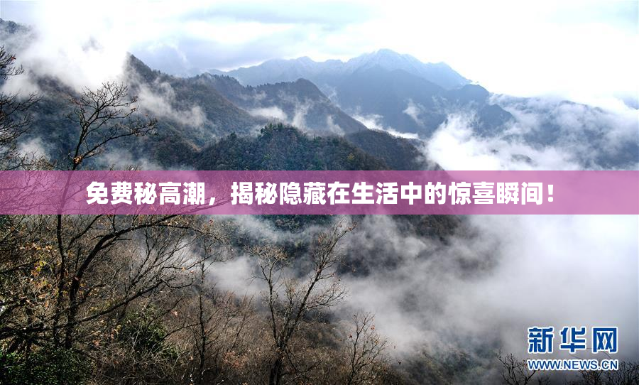 免费秘高潮，揭秘隐藏在生活中的惊喜瞬间！