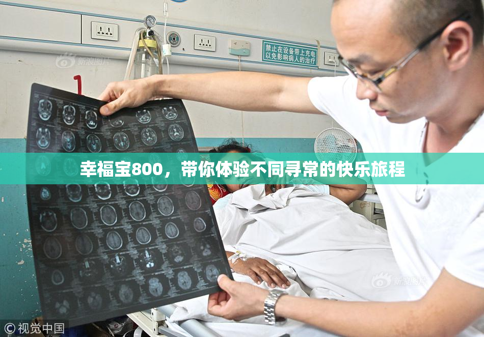幸福宝800，带你体验不同寻常的快乐旅程