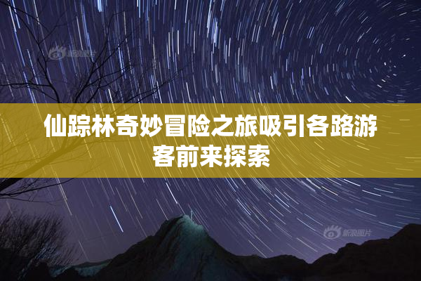 仙踪林奇妙冒险之旅吸引各路游客前来探索