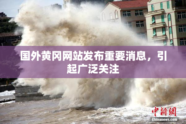 国外黄冈网站发布重要消息，引起广泛关注