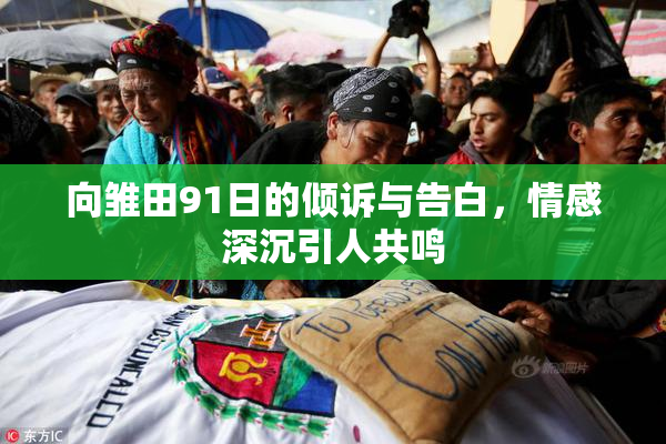 向雏田91日的倾诉与告白，情感深沉引人共鸣