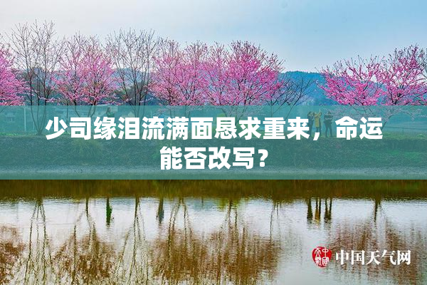 少司缘泪流满面恳求重来，命运能否改写？