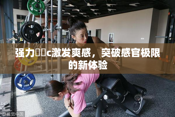 强力❌‌c激发爽感，突破感官极限的新体验