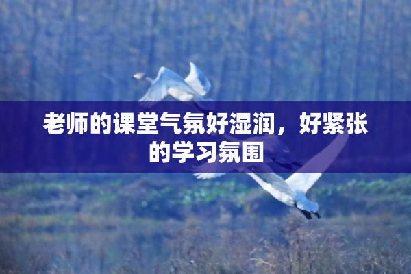老师的课堂气氛好湿润，好紧张的学习氛围