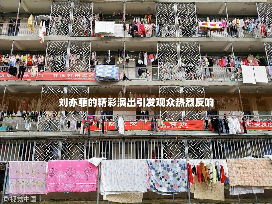 刘亦菲的精彩演出引发观众热烈反响