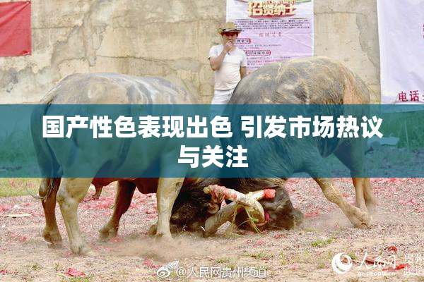 国产性色表现出色 引发市场热议与关注