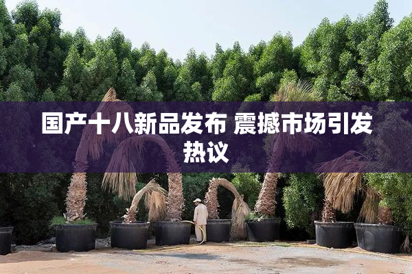 国产十八新品发布 震撼市场引发热议