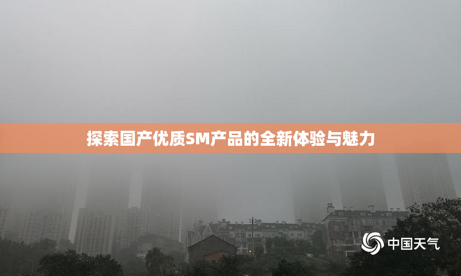探索国产优质SM产品的全新体验与魅力