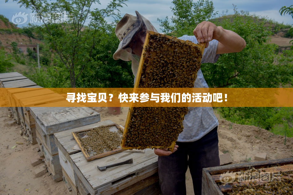 寻找宝贝？快来参与我们的活动吧！