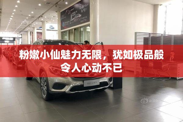 粉嫩小仙魅力无限，犹如极品般令人心动不已
