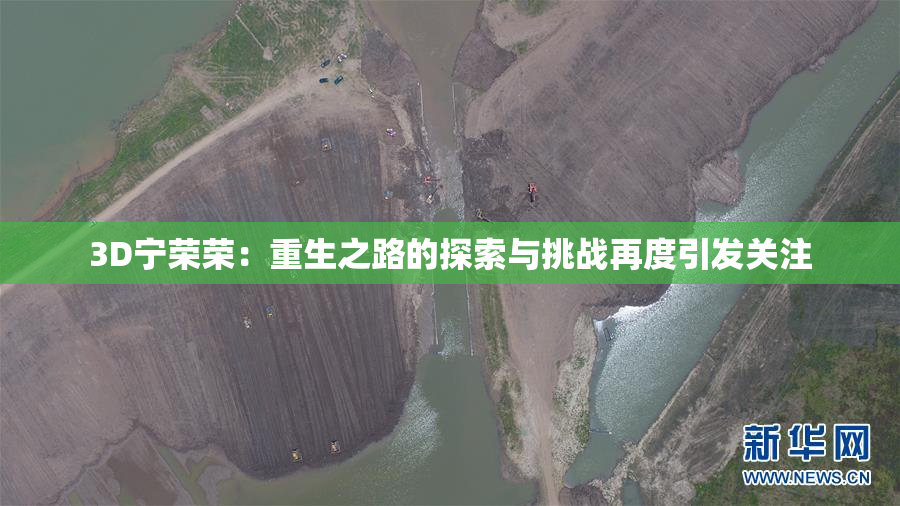 3D宁荣荣：重生之路的探索与挑战再度引发关注