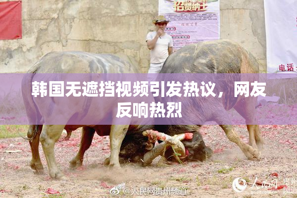 韩国无遮挡视频引发热议，网友反响热烈