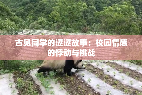 古见同学的涩涩故事：校园情感的悸动与挑战