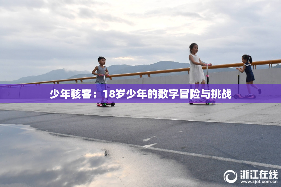 少年骇客：18岁少年的数字冒险与挑战