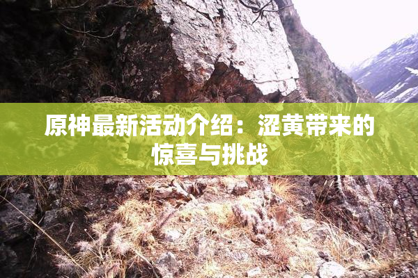 原神最新活动介绍：涩黄带来的惊喜与挑战