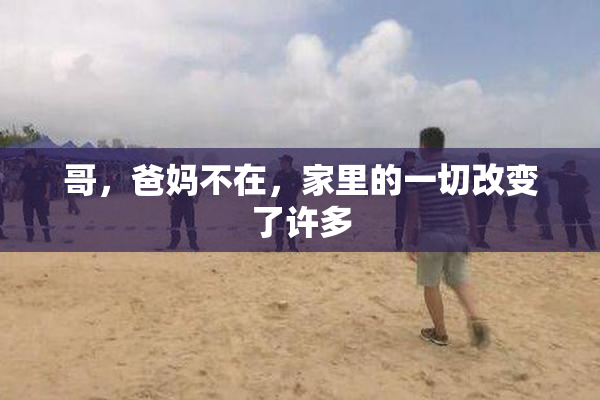 哥，爸妈不在，家里的一切改变了许多