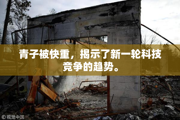 青子被快重，揭示了新一轮科技竞争的趋势。