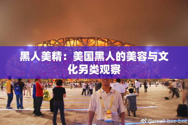 黑人美精：美国黑人的美容与文化另类观察