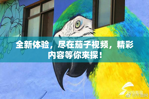 全新体验，尽在茄子视频，精彩内容等你来探！