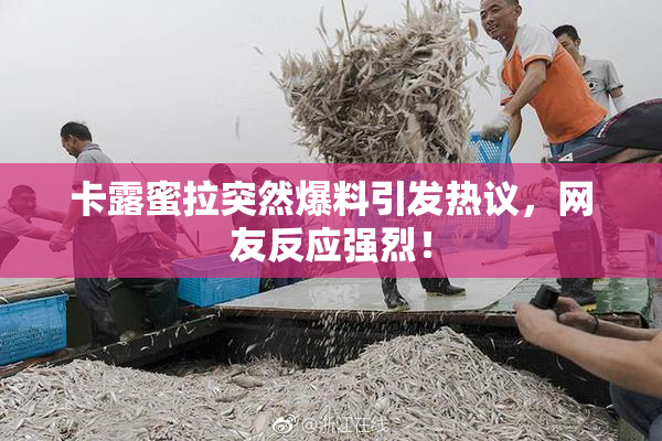 卡露蜜拉突然爆料引发热议，网友反应强烈！