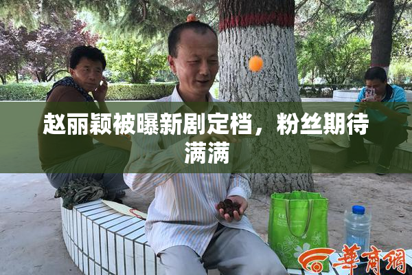 赵丽颖被曝新剧定档，粉丝期待满满