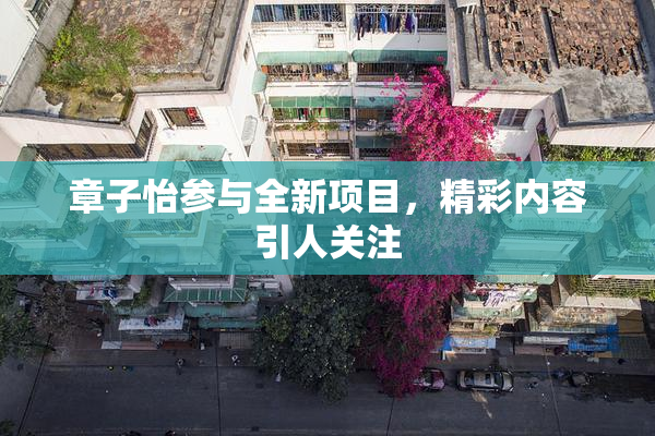 章子怡参与全新项目，精彩内容引人关注