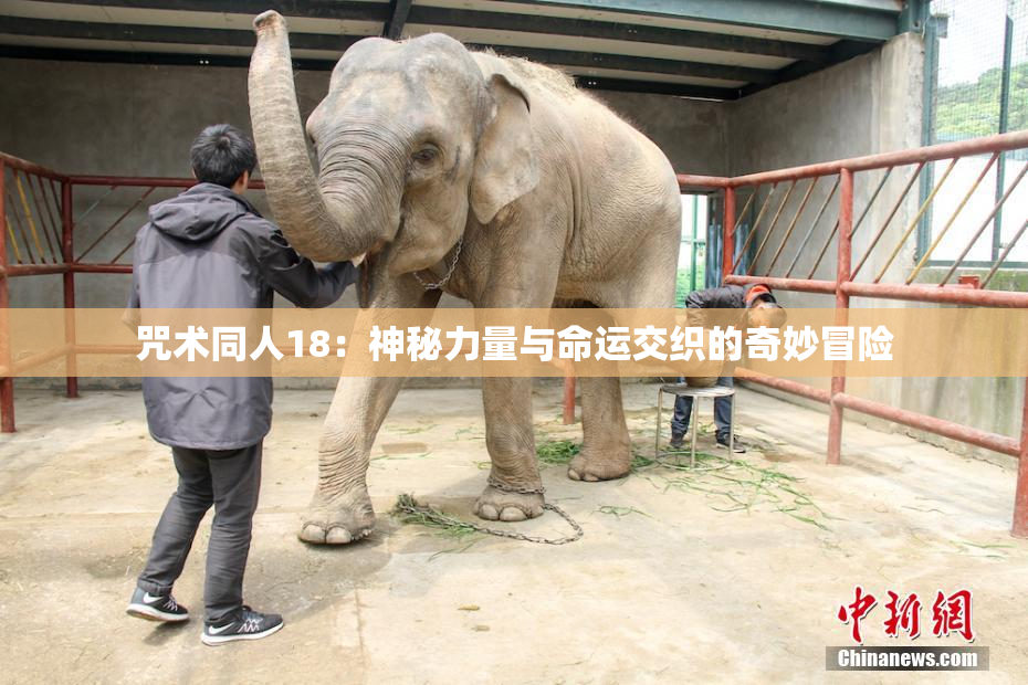 咒术同人18：神秘力量与命运交织的奇妙冒险