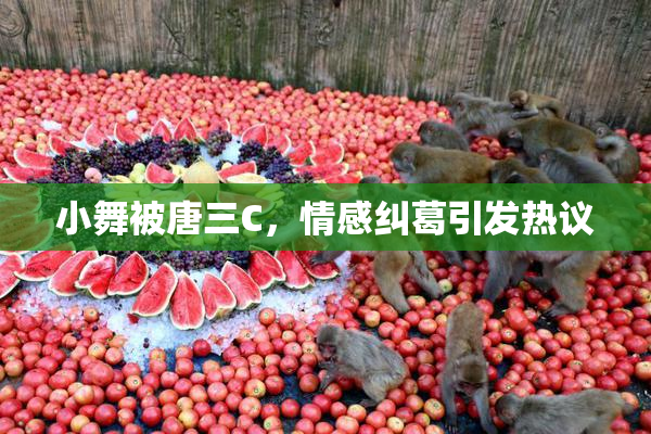 小舞被唐三C，情感纠葛引发热议