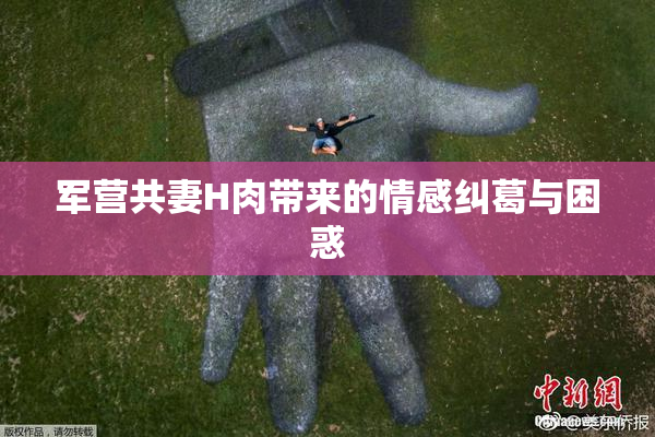 军营共妻H肉带来的情感纠葛与困惑