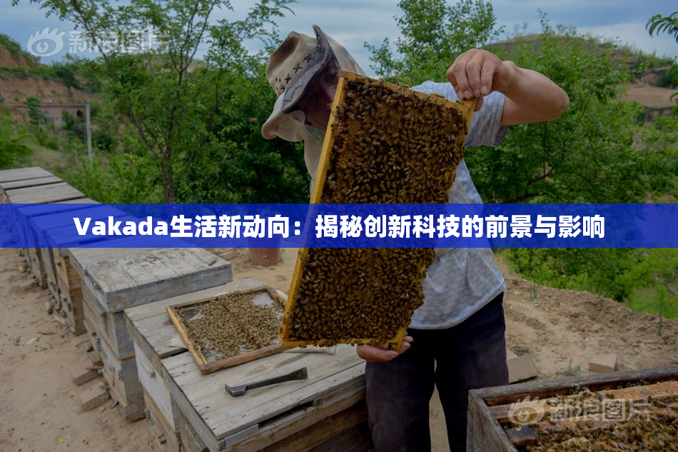 Vakada生活新动向：揭秘创新科技的前景与影响