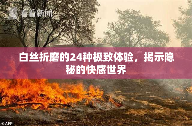 白丝折磨的24种极致体验，揭示隐秘的快感世界
