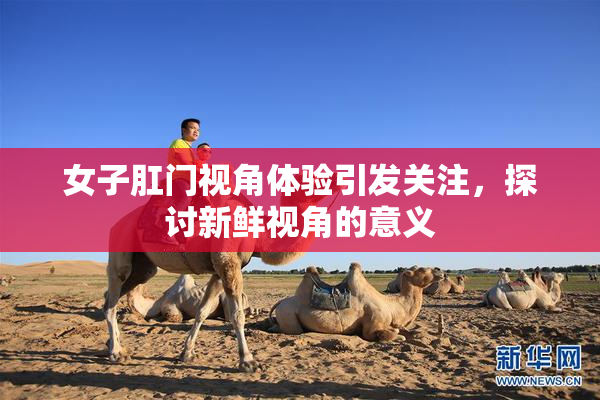 女子肛门视角体验引发关注，探讨新鲜视角的意义
